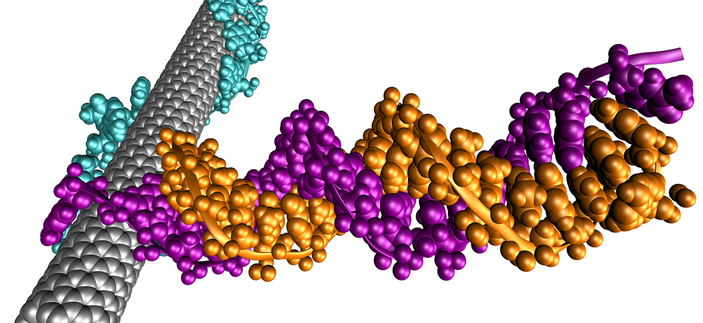 An implantable optical nanosensor
